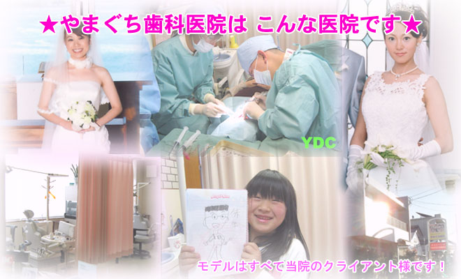 ��܂������Ȉ�@�͂���Ȉ�@�ł�