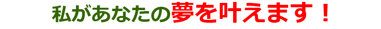 私があなたの夢を叶えます！